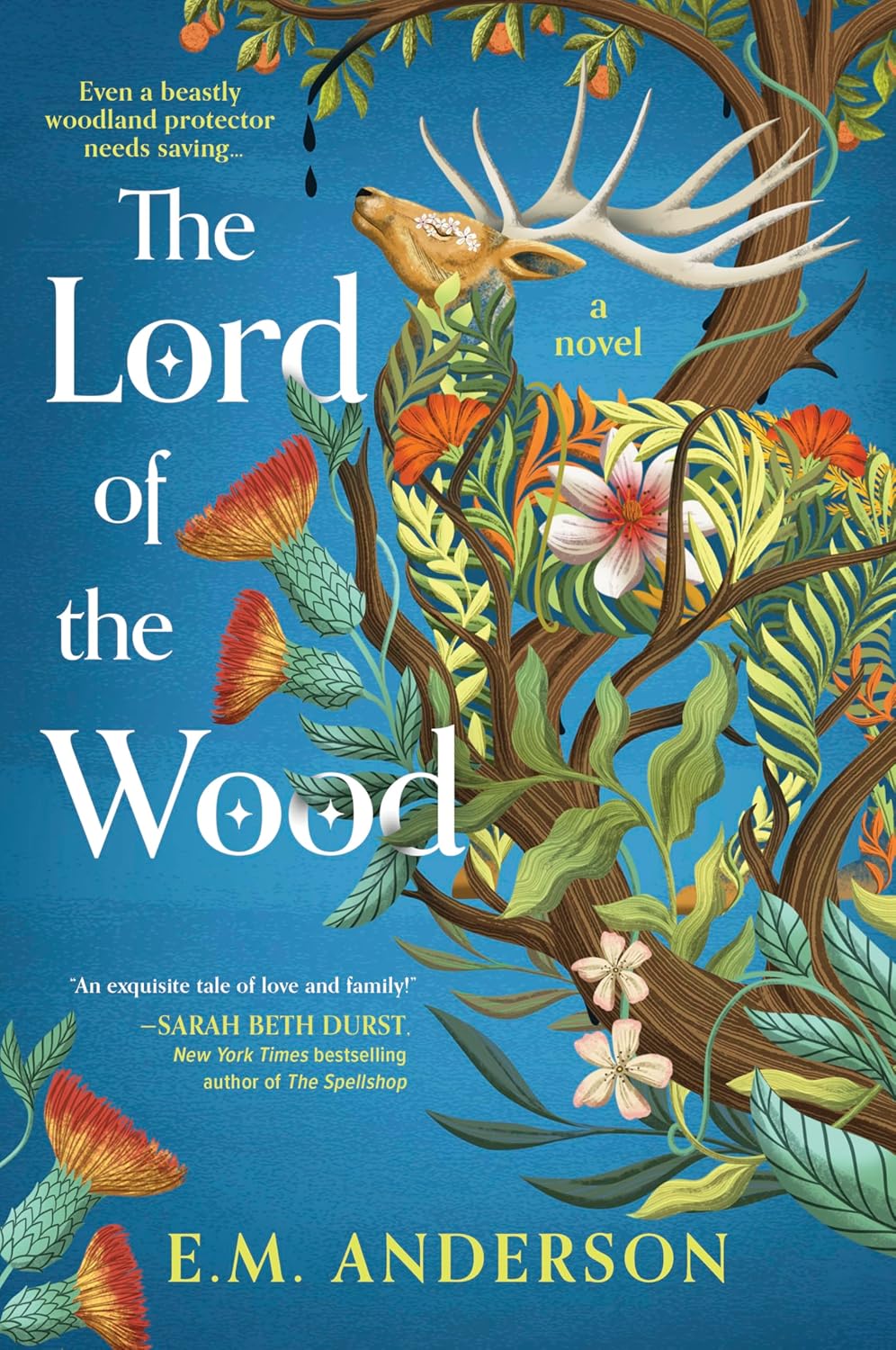 The Lord of the Wood by E.M. Anderson: Cozy Fantasy